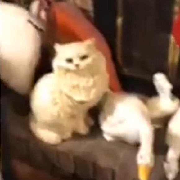 ISO: in search of my grandma’s vintage ceramic white Persian cat statue 🙏🏼 - Picture 7 of 15